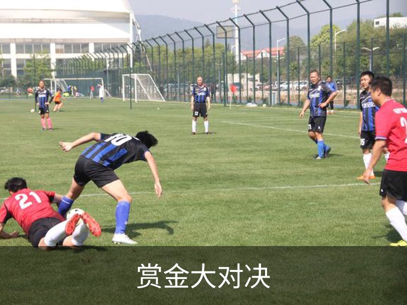 赏金大对决概况